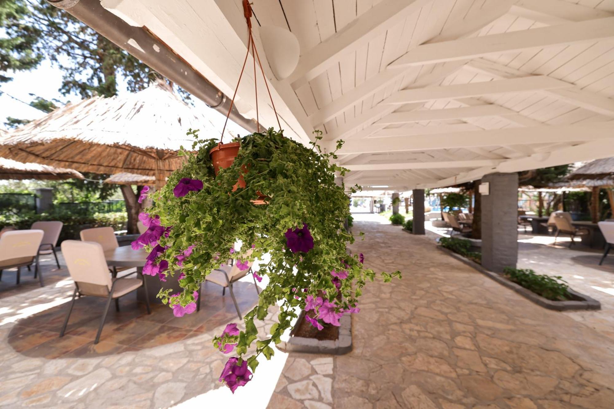 Tribunia Beach Hotel Трибунь Экстерьер фото